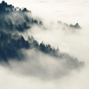 两根黑人粗大噗嗤噗嗤小说
